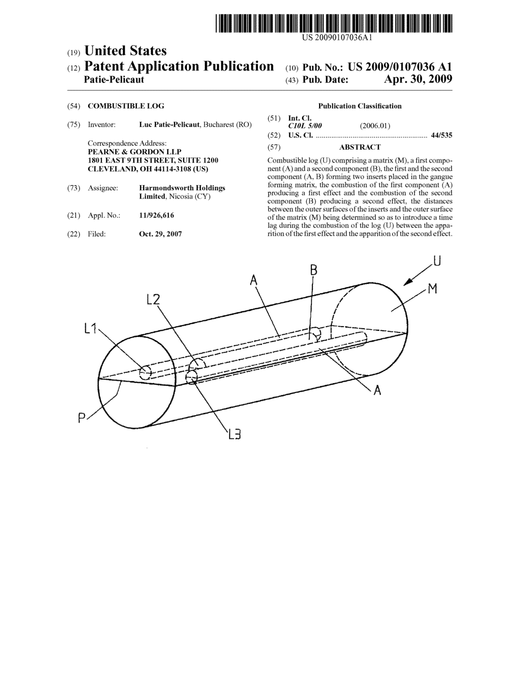 COMBUSTIBLE LOG - diagram, schematic, and image 01