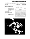 Nano-Sized Particle-Coated Proppants for Formation Fines Fixation in Proppant Packs diagram and image