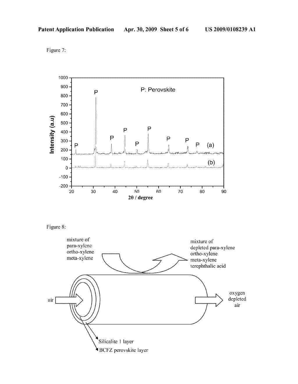 COMPOSITE MEMBRANE - diagram, schematic, and image 06