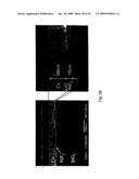 Interlayer Insulating Film, Interconnection Structure, and Methods of Manufacturing the Same diagram and image