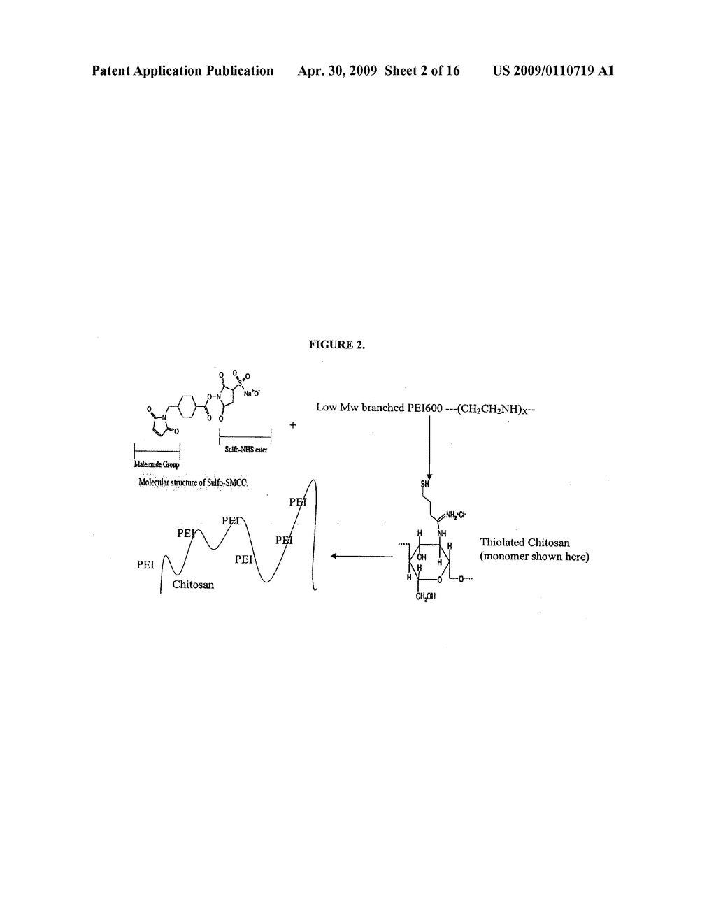 Polyamine modified particles - diagram, schematic, and image 03