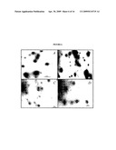 Polyamine modified particles diagram and image