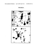 Polyamine modified particles diagram and image