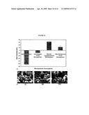 Polyamine modified particles diagram and image