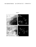 Polyamine modified particles diagram and image