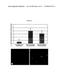 Polyamine modified particles diagram and image