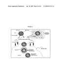 Polyamine modified particles diagram and image