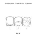 Loadable Polymeric Particles for Marking or Masking Individuals and Methods of Preparing and Using the Same diagram and image