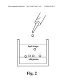 Loadable Polymeric Particles for Marking or Masking Individuals and Methods of Preparing and Using the Same diagram and image