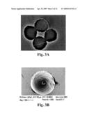 Loadable Polymeric Particles for Marking or Masking Individuals and Methods of Preparing and Using the Same diagram and image