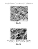 Loadable Polymeric Particles for Marking or Masking Individuals and Methods of Preparing and Using the Same diagram and image