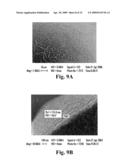 Loadable Polymeric Particles for Marking or Masking Individuals and Methods of Preparing and Using the Same diagram and image