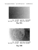 Loadable Polymeric Particles for Marking or Masking Individuals and Methods of Preparing and Using the Same diagram and image