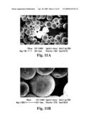 Loadable Polymeric Particles for Marking or Masking Individuals and Methods of Preparing and Using the Same diagram and image