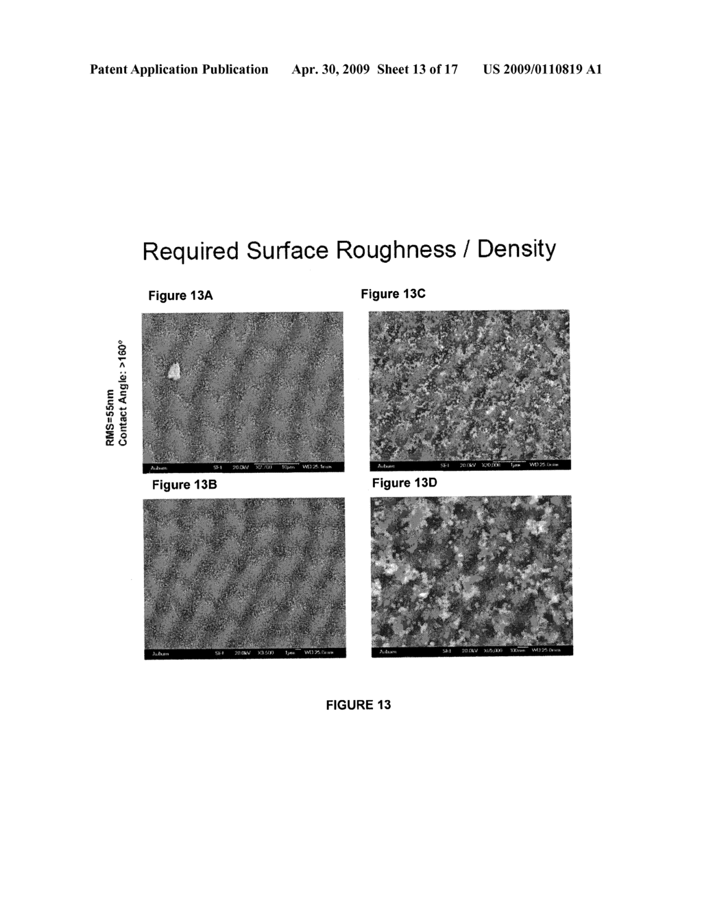 Surface Coating Process - diagram, schematic, and image 14