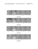 Polyaniline/carbon black composite and preparation method thereof diagram and image