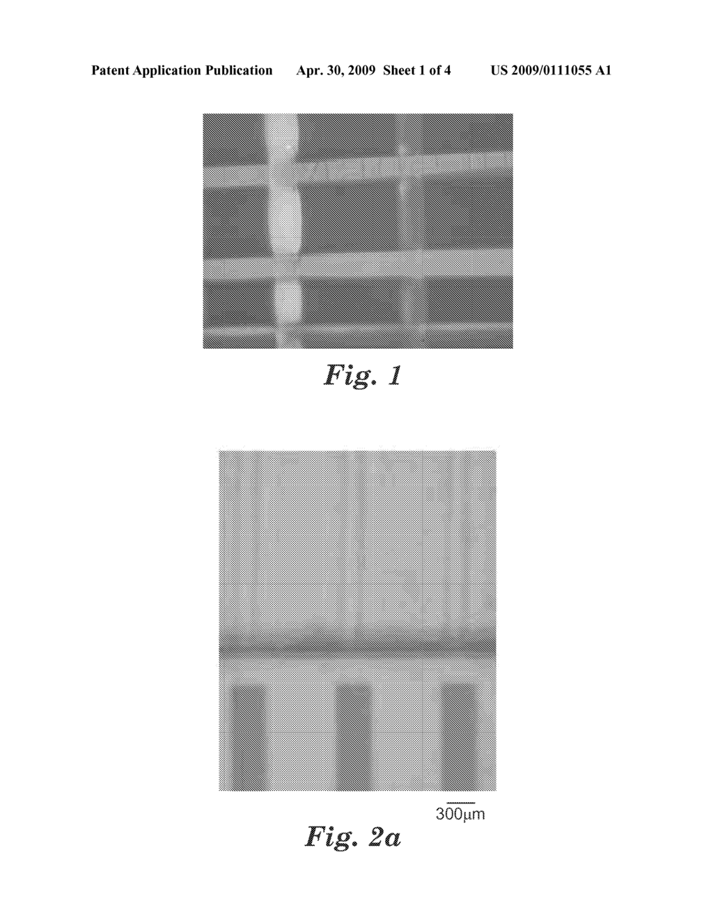 METHOD OF FORMING AN IMAGE HAVING MULTIPLE PHASES - diagram, schematic, and image 02