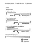 PRIMERS AND PROBES FOR DETECTION AND DISCRIMINATION OF TYPES AND SUBTYPES OF INFLUENZA VIRUSES diagram and image