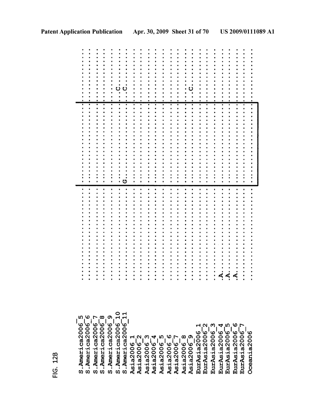 PRIMERS AND PROBES FOR DETECTION AND DISCRIMINATION OF TYPES AND SUBTYPES OF INFLUENZA VIRUSES - diagram, schematic, and image 32