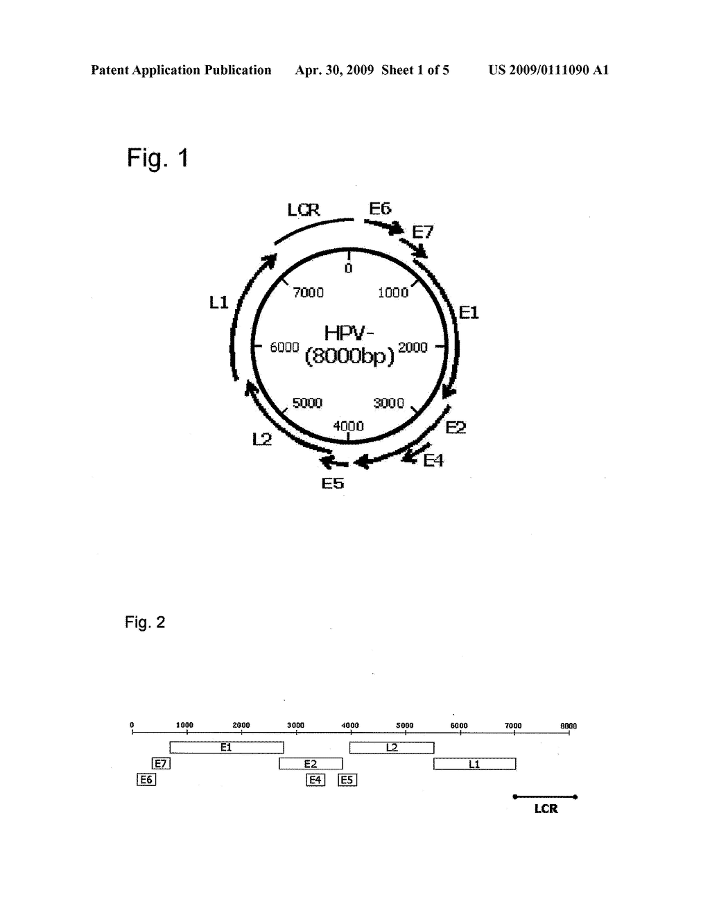 METHOD FOR DETECTING INTEGRATED HPV DNA - diagram, schematic, and image 02