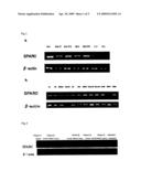 NOVEL DIAGNOSTIC KIT FOR MALIGNANT MELANOMA diagram and image