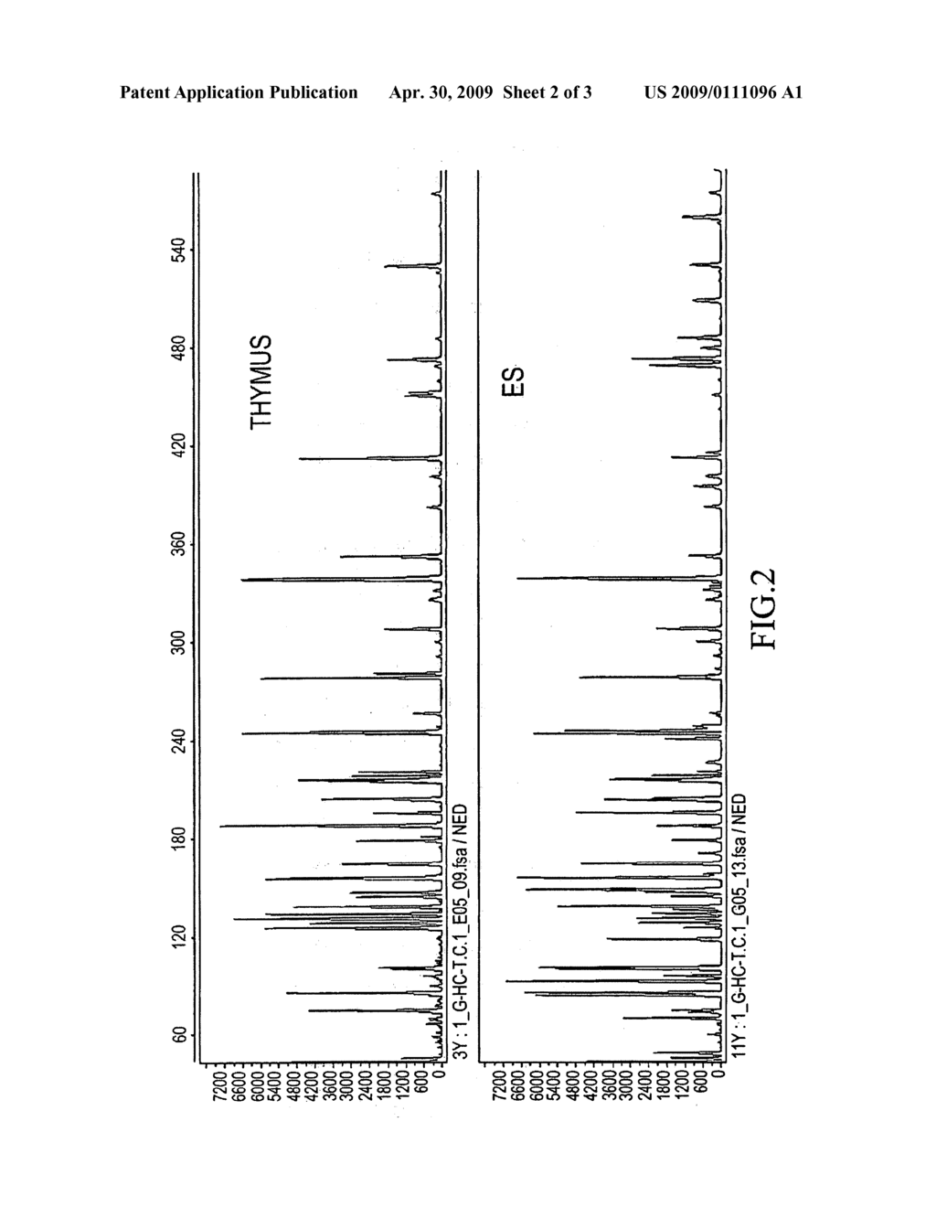 Method of exhaustive analysis of transcriptionally-active domain (non-methylated domain) on genome - diagram, schematic, and image 03