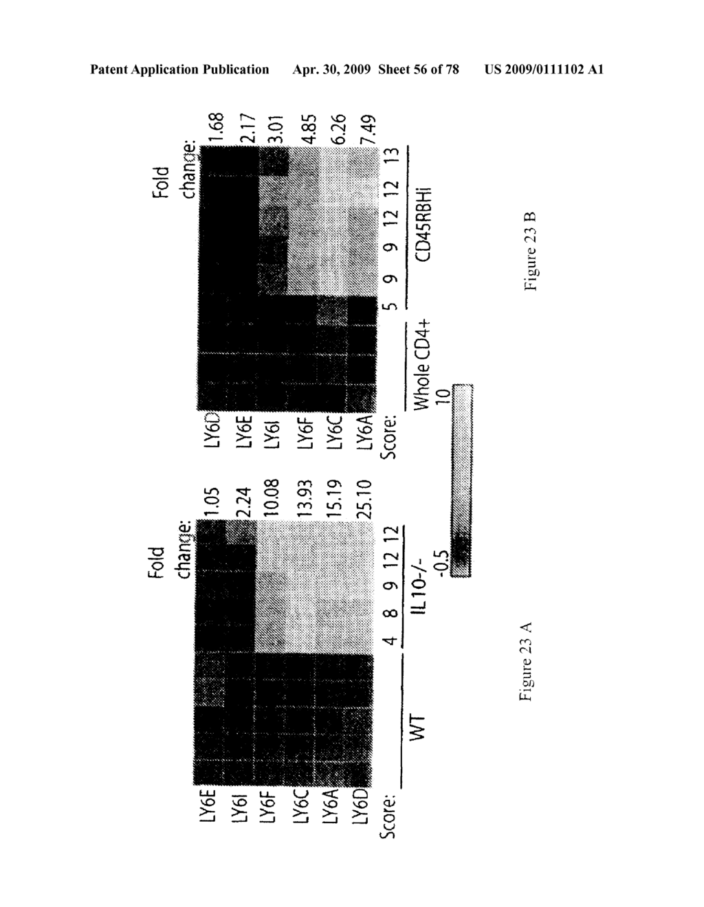 METHODS FOR DETECTING INFLAMMATORY BOWEL DISEASE - diagram, schematic, and image 57