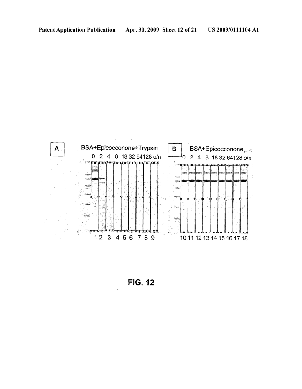 Method for Monitoring Hydrolytic Activity - diagram, schematic, and image 13