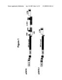 Vector System diagram and image