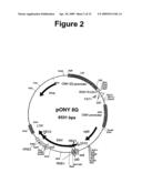 Vector System diagram and image