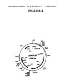 Vector System diagram and image