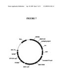 Vector System diagram and image