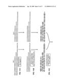 SEQUENCE ANALYSIS USING DECORATED NUCLEIC ACIDS diagram and image