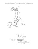 SEQUENCE ANALYSIS USING DECORATED NUCLEIC ACIDS diagram and image