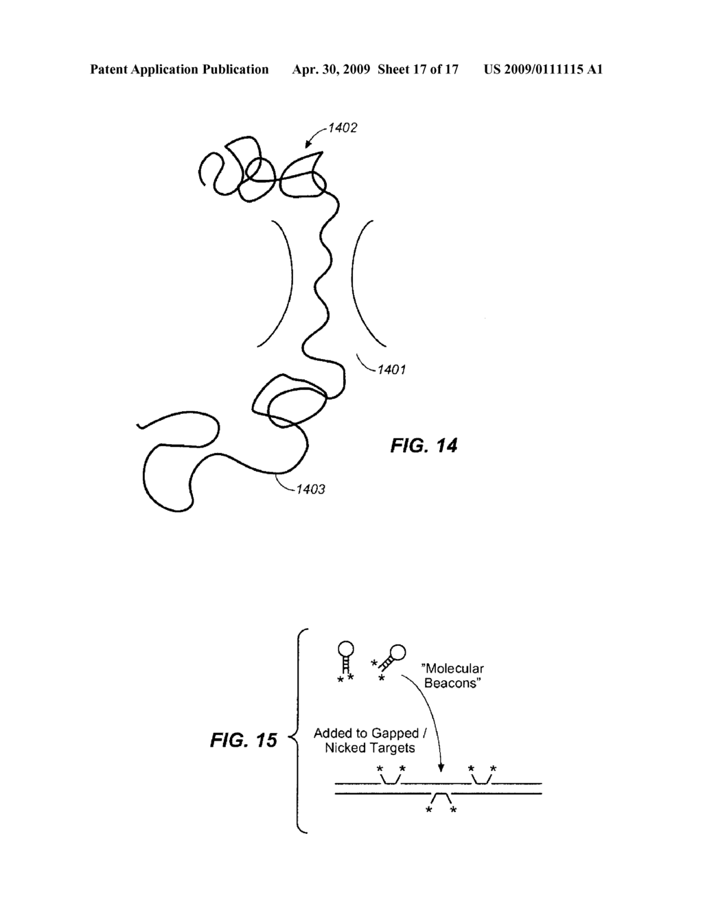 SEQUENCE ANALYSIS USING DECORATED NUCLEIC ACIDS - diagram, schematic, and image 18