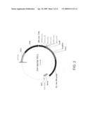 Rapid in vivo identification of biologically active nucleases diagram and image