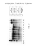 Rapid in vivo identification of biologically active nucleases diagram and image