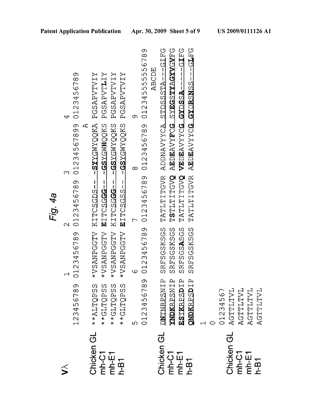 MAMMALIAN CELL-BASED IMMUNOGLOBULIN DISPLAY LIBRARIES - diagram, schematic, and image 06