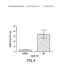 METHOD AND APPARATUS FOR DIAGNOSES OF HEMANGIOSARCOMA IN MAMMALS diagram and image