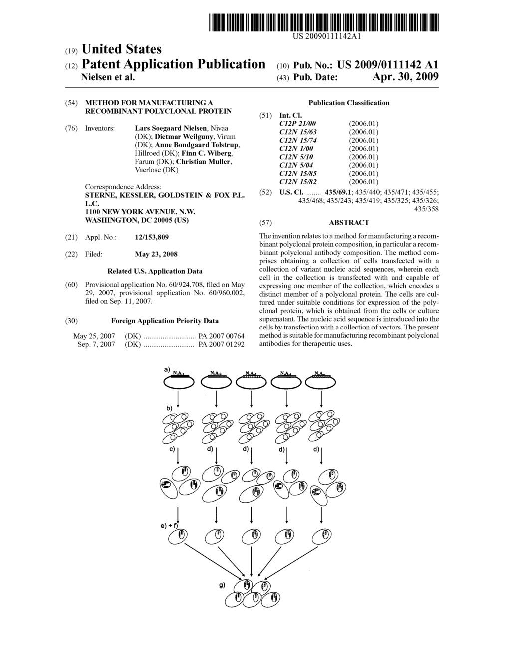 Method for manufacturing a recombinant polyclonal protein - diagram, schematic, and image 01