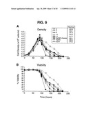 Methods and Compositions for Mammalian Cell Lines for Transfection and Protein Expression in Serum-Free Medium diagram and image