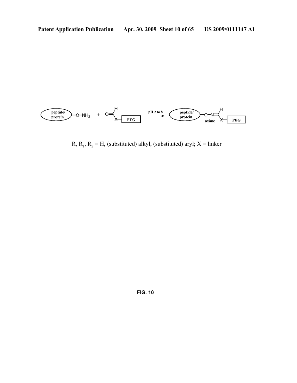 Compositions Containing, Methods Involving, and Uses of Non-Natural Amino Acids and Polypeptides - diagram, schematic, and image 11