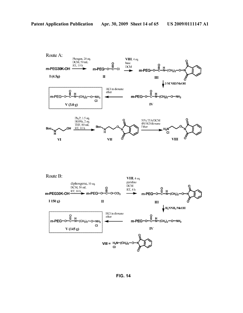 Compositions Containing, Methods Involving, and Uses of Non-Natural Amino Acids and Polypeptides - diagram, schematic, and image 15
