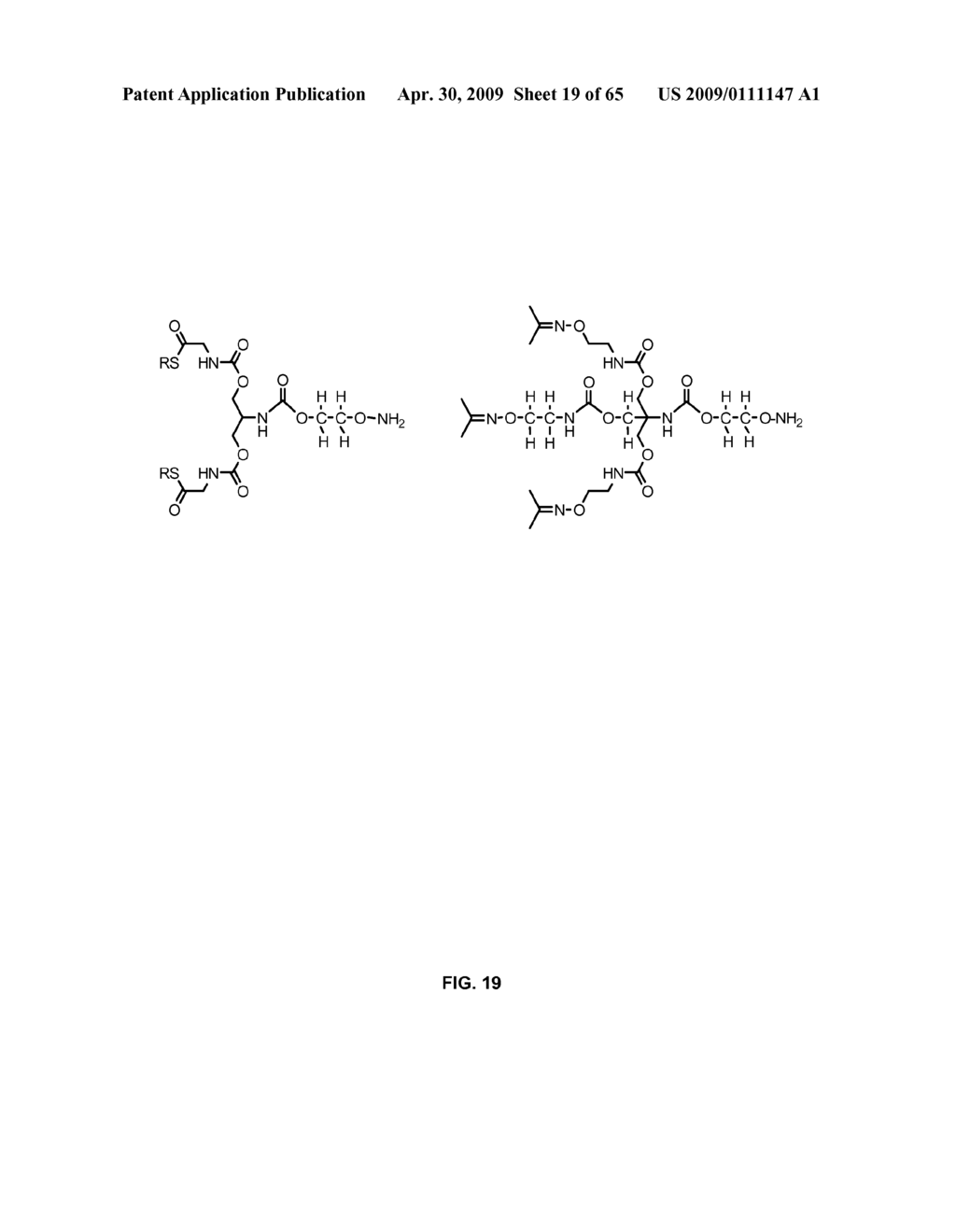 Compositions Containing, Methods Involving, and Uses of Non-Natural Amino Acids and Polypeptides - diagram, schematic, and image 20