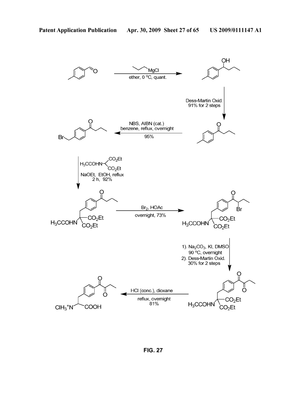 Compositions Containing, Methods Involving, and Uses of Non-Natural Amino Acids and Polypeptides - diagram, schematic, and image 28