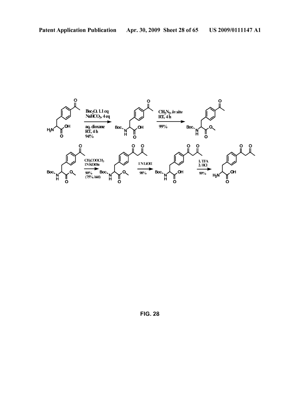 Compositions Containing, Methods Involving, and Uses of Non-Natural Amino Acids and Polypeptides - diagram, schematic, and image 29