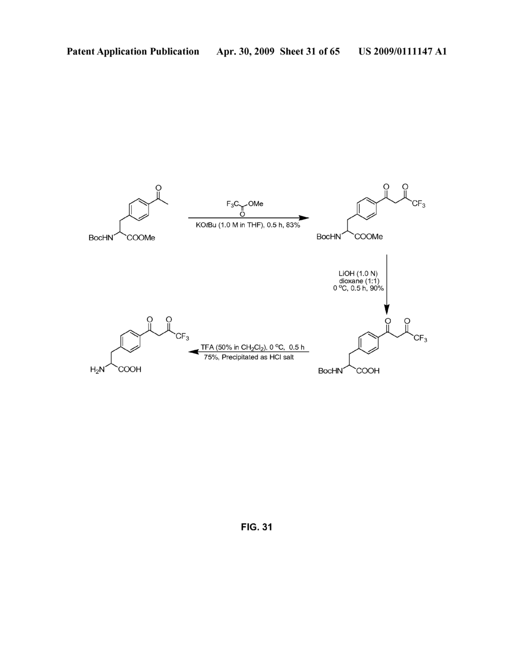 Compositions Containing, Methods Involving, and Uses of Non-Natural Amino Acids and Polypeptides - diagram, schematic, and image 32