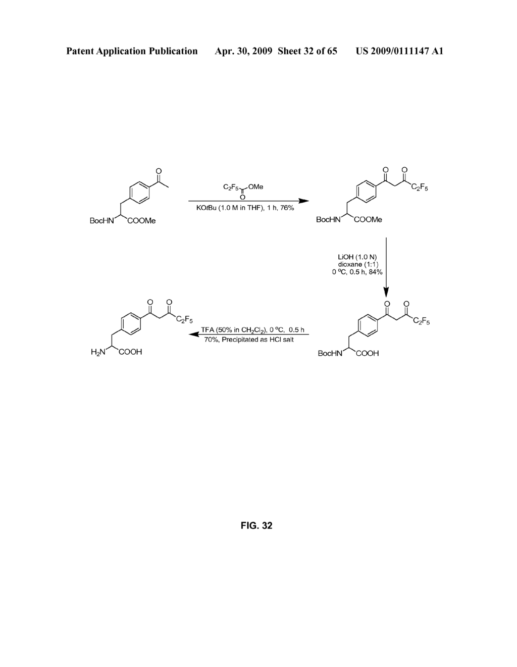 Compositions Containing, Methods Involving, and Uses of Non-Natural Amino Acids and Polypeptides - diagram, schematic, and image 33