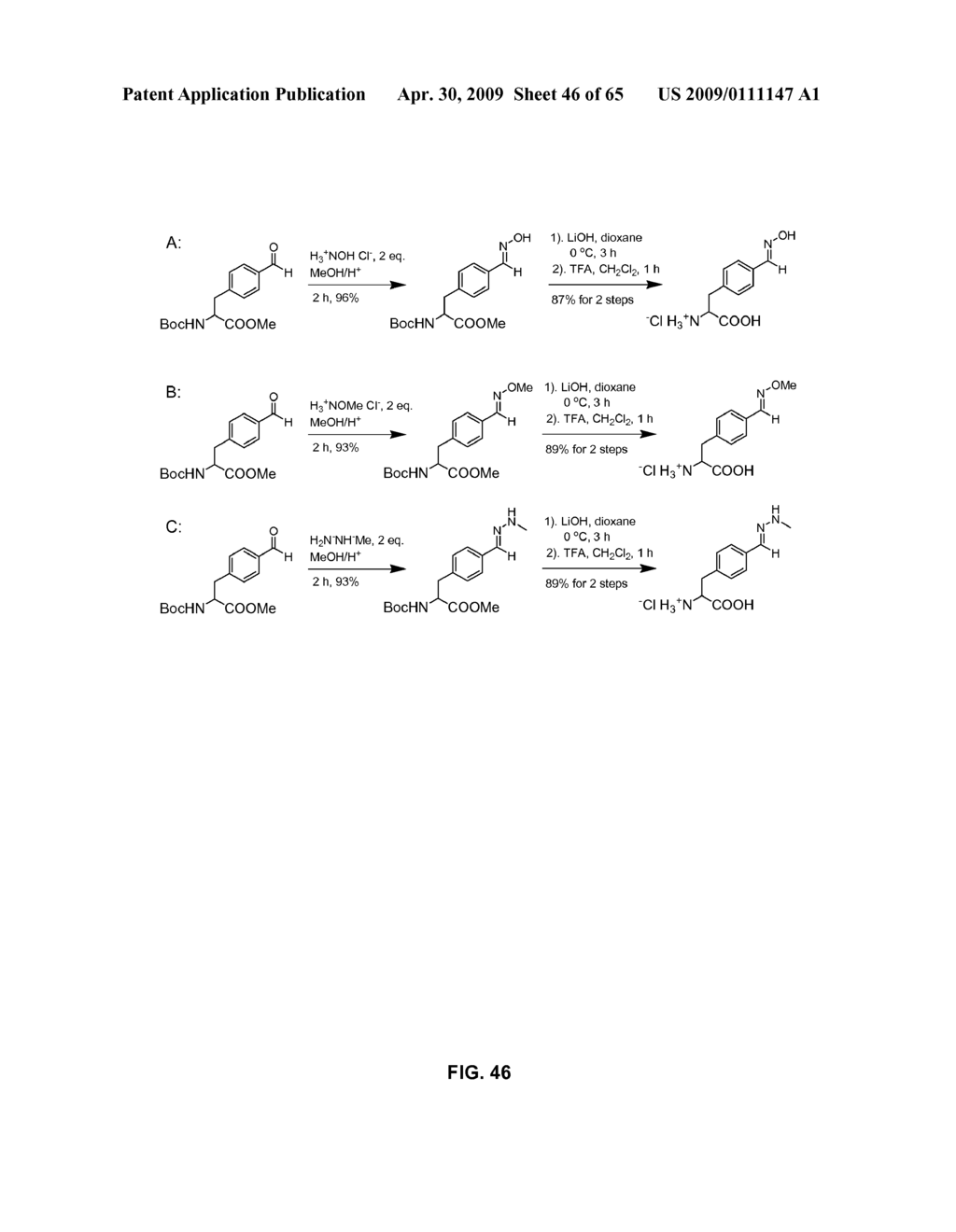 Compositions Containing, Methods Involving, and Uses of Non-Natural Amino Acids and Polypeptides - diagram, schematic, and image 47