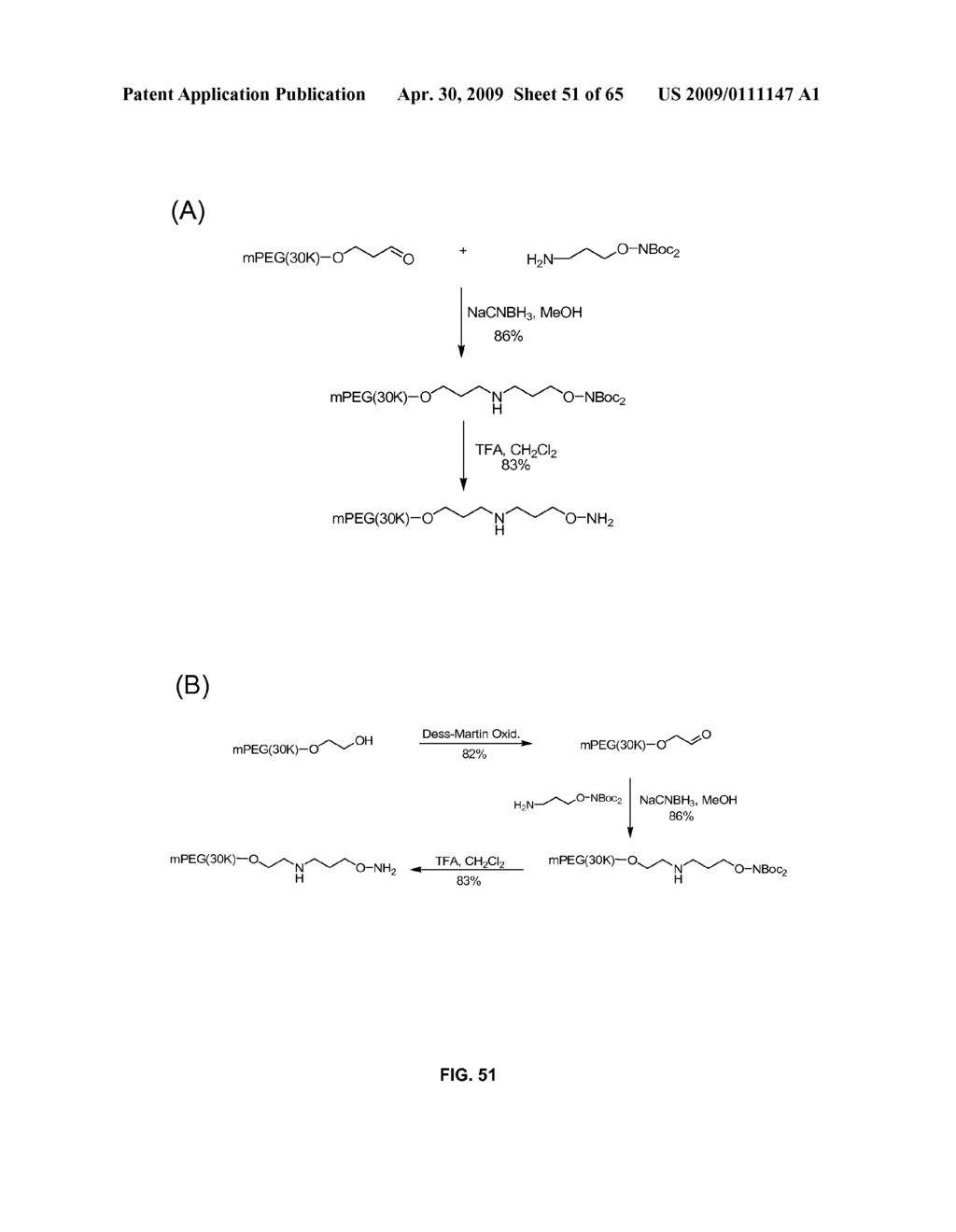 Compositions Containing, Methods Involving, and Uses of Non-Natural Amino Acids and Polypeptides - diagram, schematic, and image 52